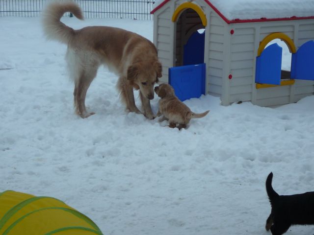 Jemand zuhause?